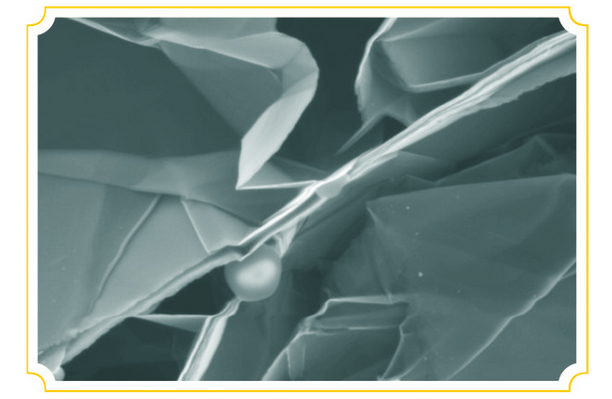 膨胀石墨显微镜图